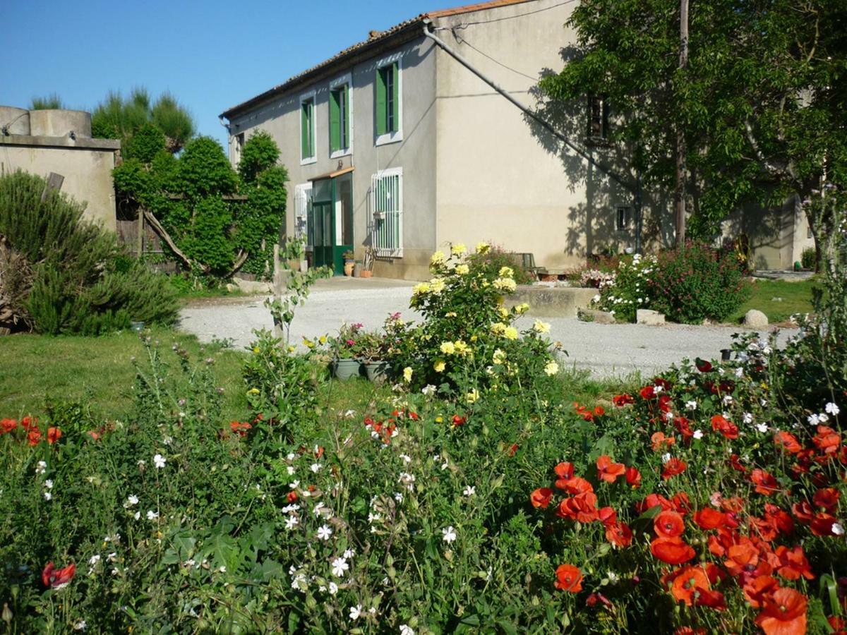 Virevent Villa Carcassonne Exterior photo